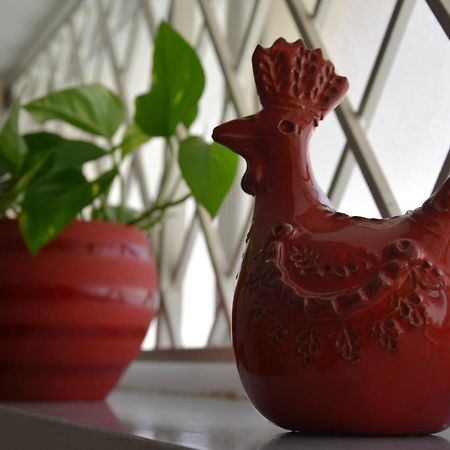 B&B Casa Morgana 奧爾比亞 外观 照片