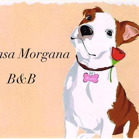 B&B Casa Morgana 奧爾比亞 外观 照片