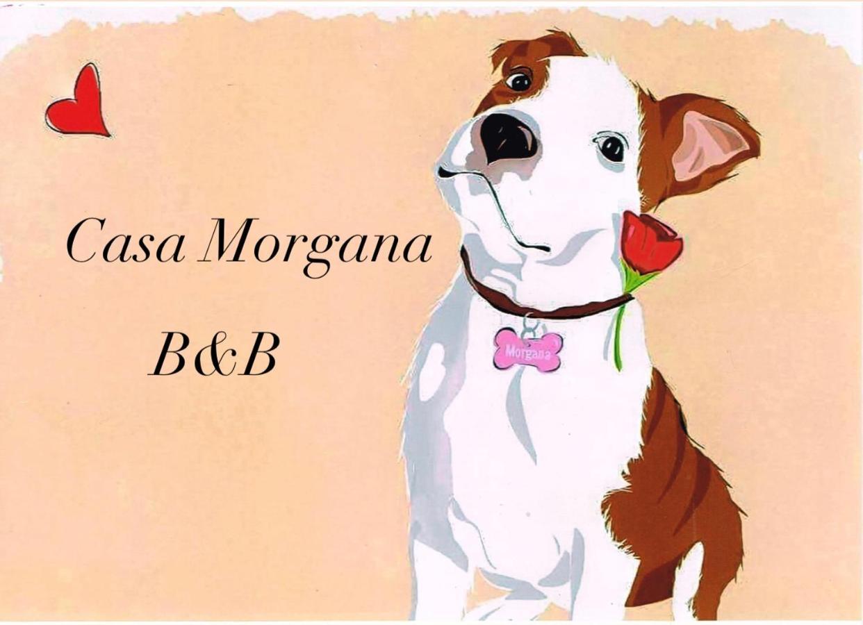 B&B Casa Morgana 奧爾比亞 外观 照片
